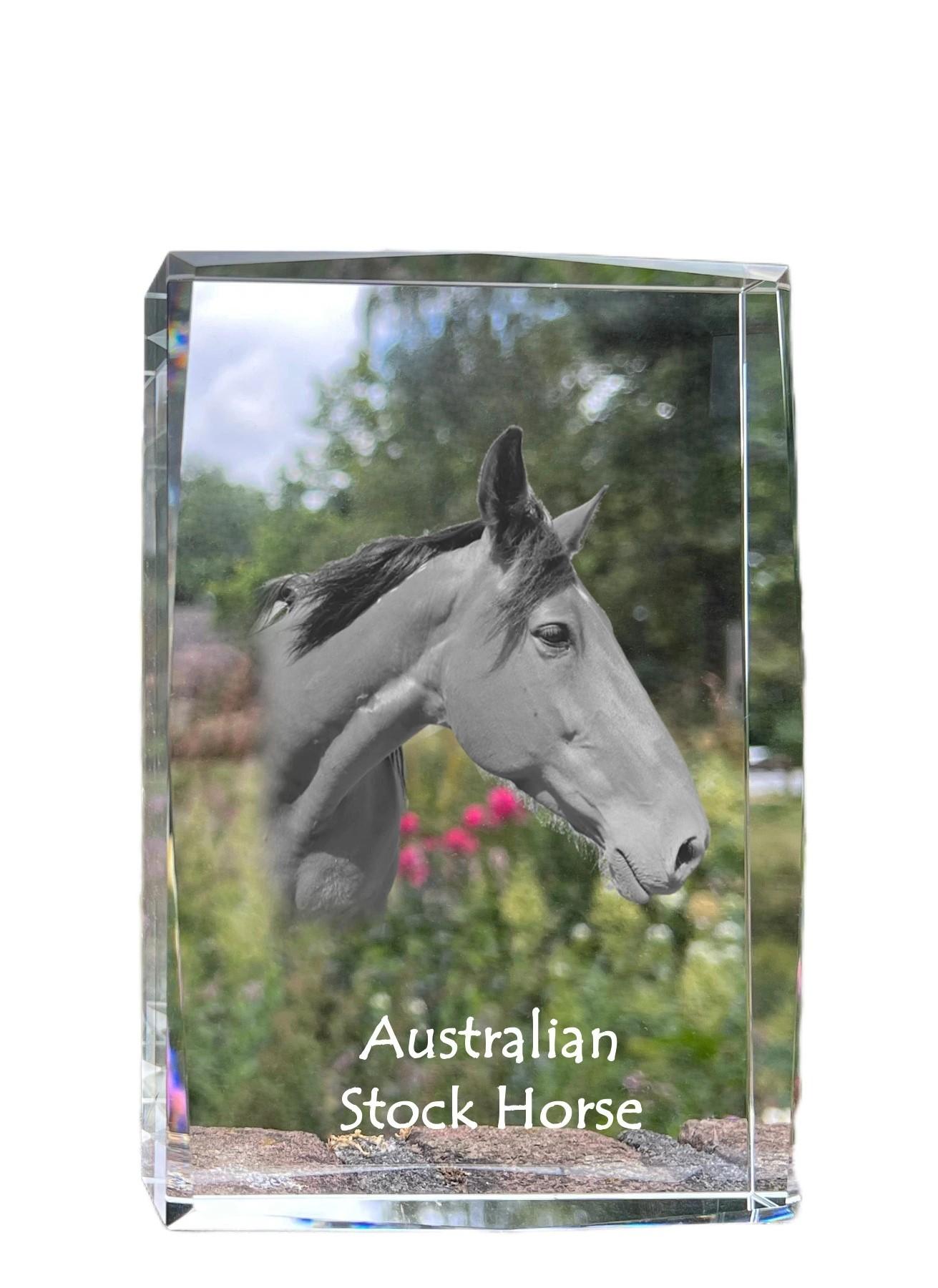 Australian Stock Horse - crystal with a picture of a horse, photo in glass, modern exhibition of Art-Dog brand photo прозорий
Australian Stock Horse - crystal with a picture of a horse, photo in glass, modern exhibition of Art-Dog brand photo прозорий