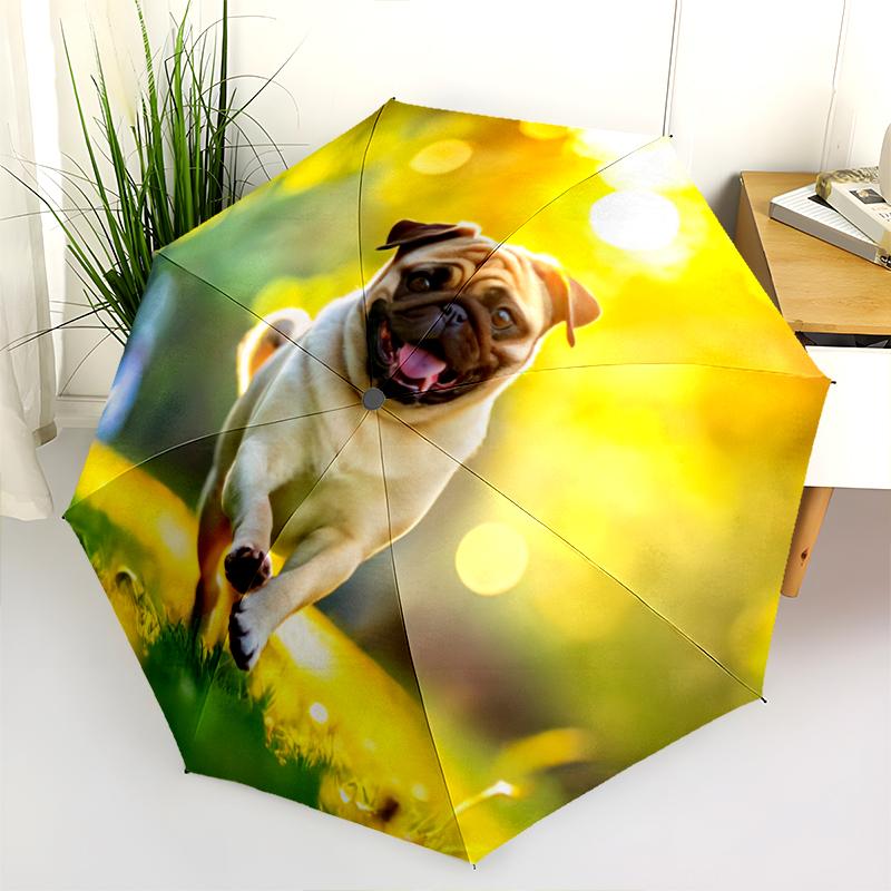 1PC cute dog pet puppy Umbrella Portable Folding Umbrella Iron Frame Hole Bone Structure Outdoor Home Umbrella A14 разноцветный
1PC cute dog pet puppy Umbrella Portable Folding Umbrella Iron Frame Hole Bone Structure Outdoor Home Umbrella A14 разноцветный