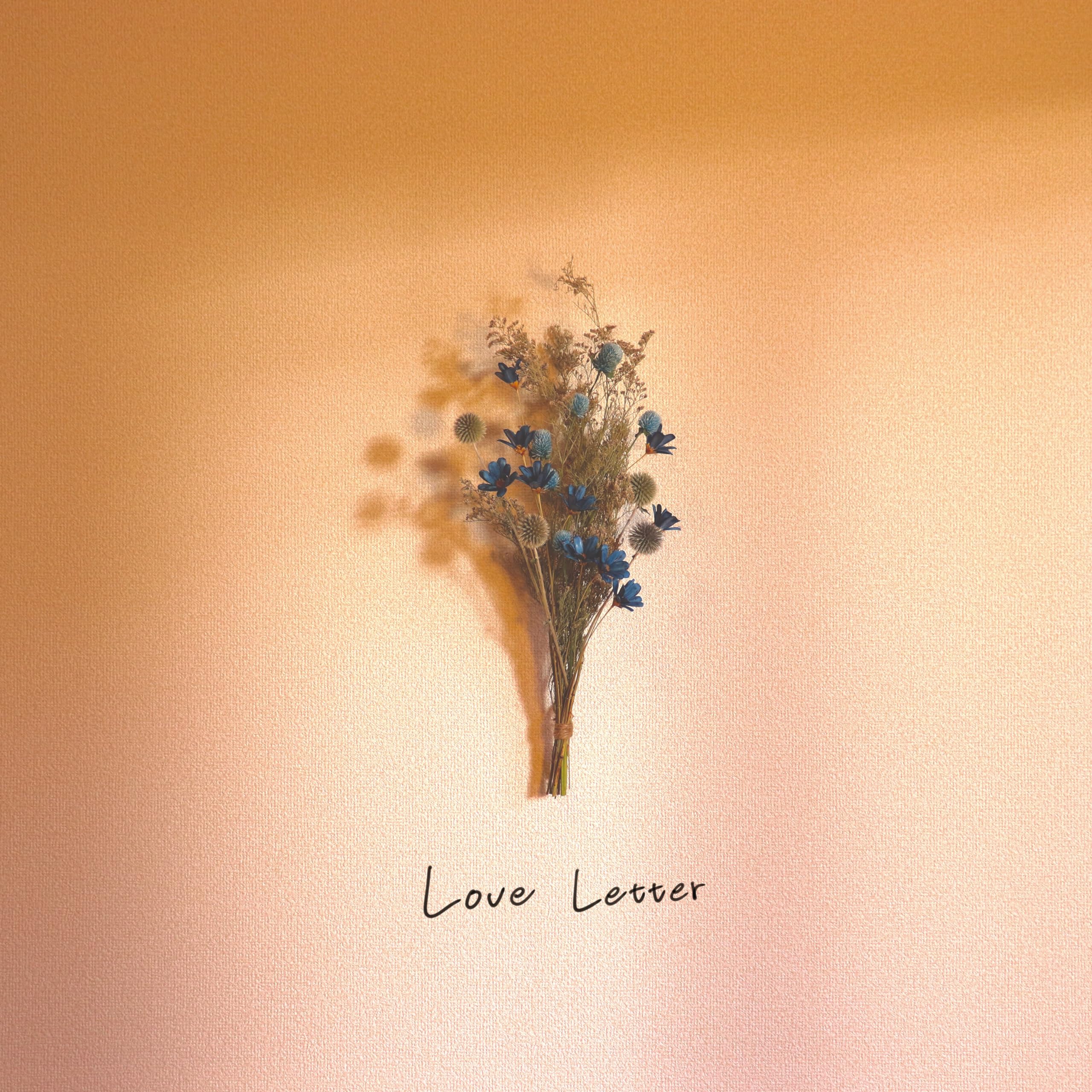Love Letter edition B Regular (notebook included)
Love Letter edition B Regular (notebook included)