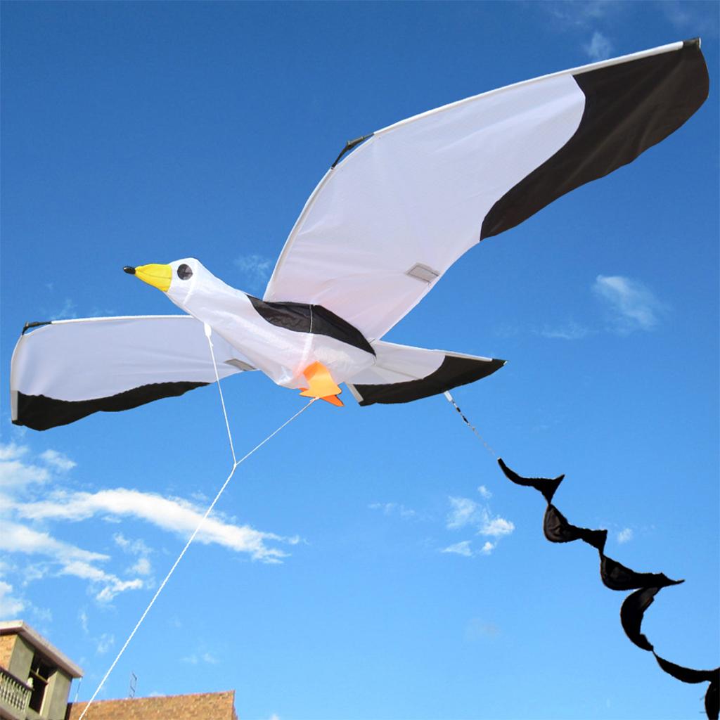 3D Seagull Kite for children s game and Activities Toy, Single Line Trips Toys Huge Wing
3D Seagull Kite for children s game and Activities Toy, Single Line Trips Toys Huge Wing