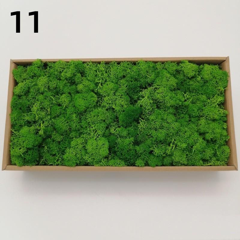 New 50/30/10g Artificial Green Plants Eternal Life Moss Grass Home Garden Decoration Mini Landscape Fake Flower DIY Crafts Gifts 10g
New 50/30/10g Artificial Green Plants Eternal Life Moss Grass Home Garden Decoration Mini Landscape Fake Flower DIY Crafts Gifts 10g