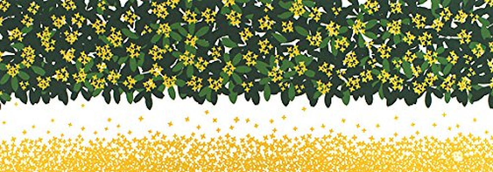 Крашение Anbo Полотенце для рук Аутентичный крашеный хлопок Токуока Сделано в Японии 35см x 100см Османтусовый оранжевый 100% оранжевый
Крашение Anbo Полотенце для рук Аутентичный крашеный хлопок Токуока Сделано в Японии 35см x 100см Османтусовый оранжевый 100% оранжевый