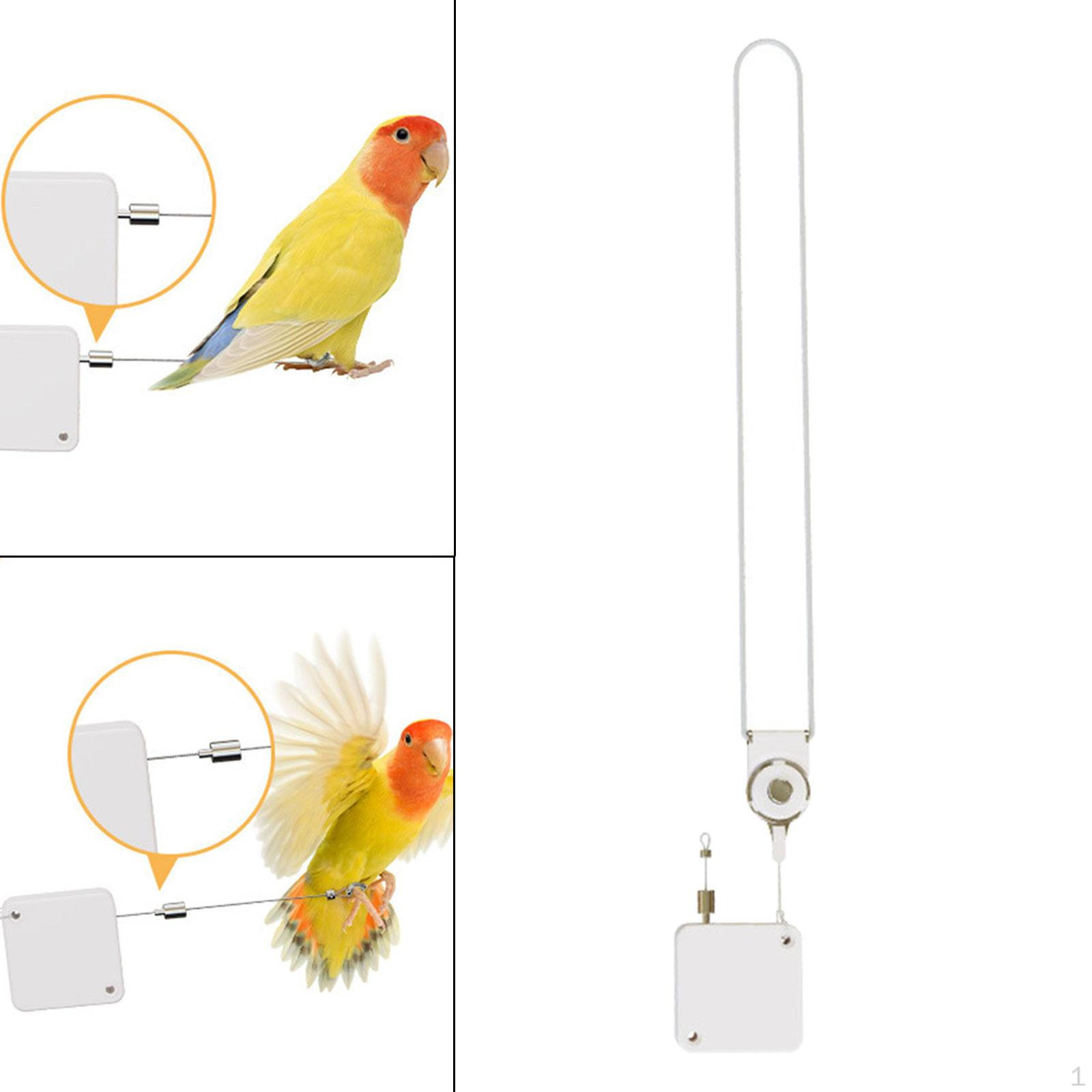 Повідець 210 см для тренування та вигулу птахів, мотузка для папуг, корел, хвилястих папужок білий
Повідець 210 см для тренування та вигулу птахів, мотузка для папуг, корел, хвилястих папужок білий