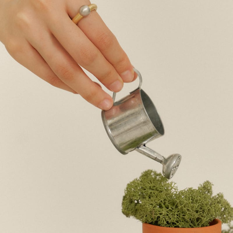 Pacipick Knob Ring (ver.1) Gold
Pacipick Knob Ring (ver.1) Gold