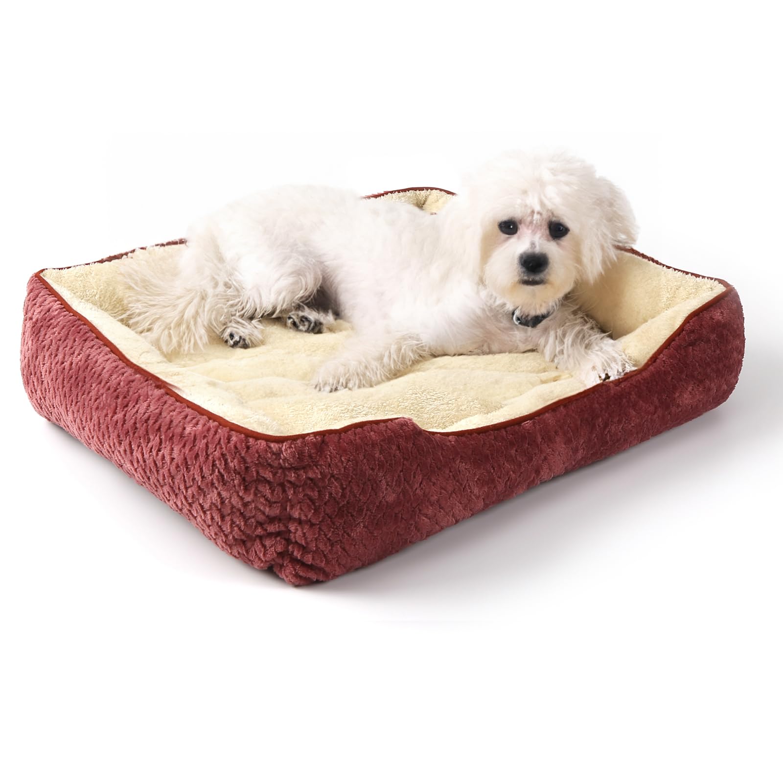 Pet Pet Pet Pet Cable Square Pet Sleeps Cold Cold For Small Pet Red Peto-Raifu Bed, Cushion, Mat, Sofa, Pattern, Shape, Box-shaped Bed, Soundly, красный
Pet Pet Pet Pet Cable Square Pet Sleeps Cold Cold For Small Pet Red Peto-Raifu Bed, Cushion, Mat, Sofa, Pattern, Shape, Box-shaped Bed, Soundly, красный