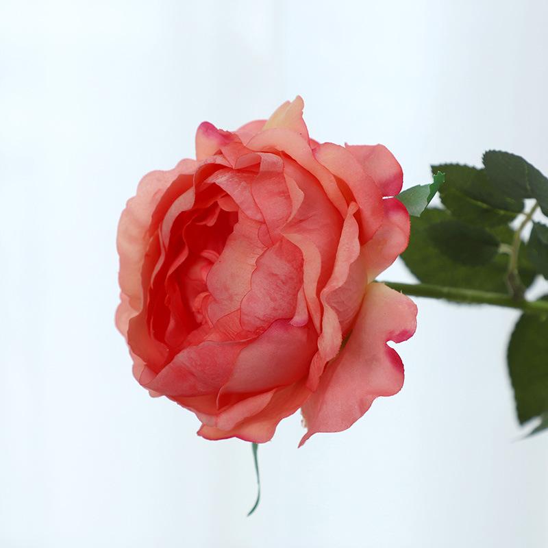 Feel moisturizing artificial flower, long branch Austin rose bouquet, home interior decoration artificial flower темно-розовый
Feel moisturizing artificial flower, long branch Austin rose bouquet, home interior decoration artificial flower темно-розовый