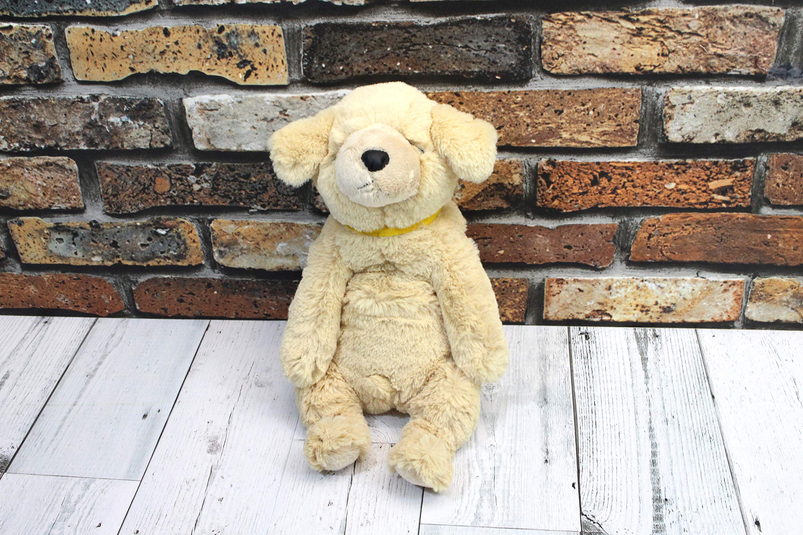 Shinada This is my Golden Retriever 9 x 2 x cm Stuffed Animal Goods Haru-kun 15.5 UCHG-0298
Shinada This is my Golden Retriever 9 x 2 x cm Stuffed Animal Goods Haru-kun 15.5 UCHG-0298