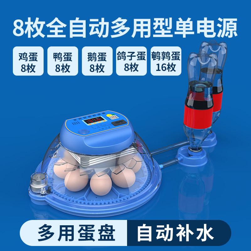 Small Automatic Home Incubator Smart Digital Hatching Machine for Chickens/Parrots Compact Poultry Breeding Incubation System
Small Automatic Home Incubator Smart Digital Hatching Machine for Chickens/Parrots Compact Poultry Breeding Incubation System