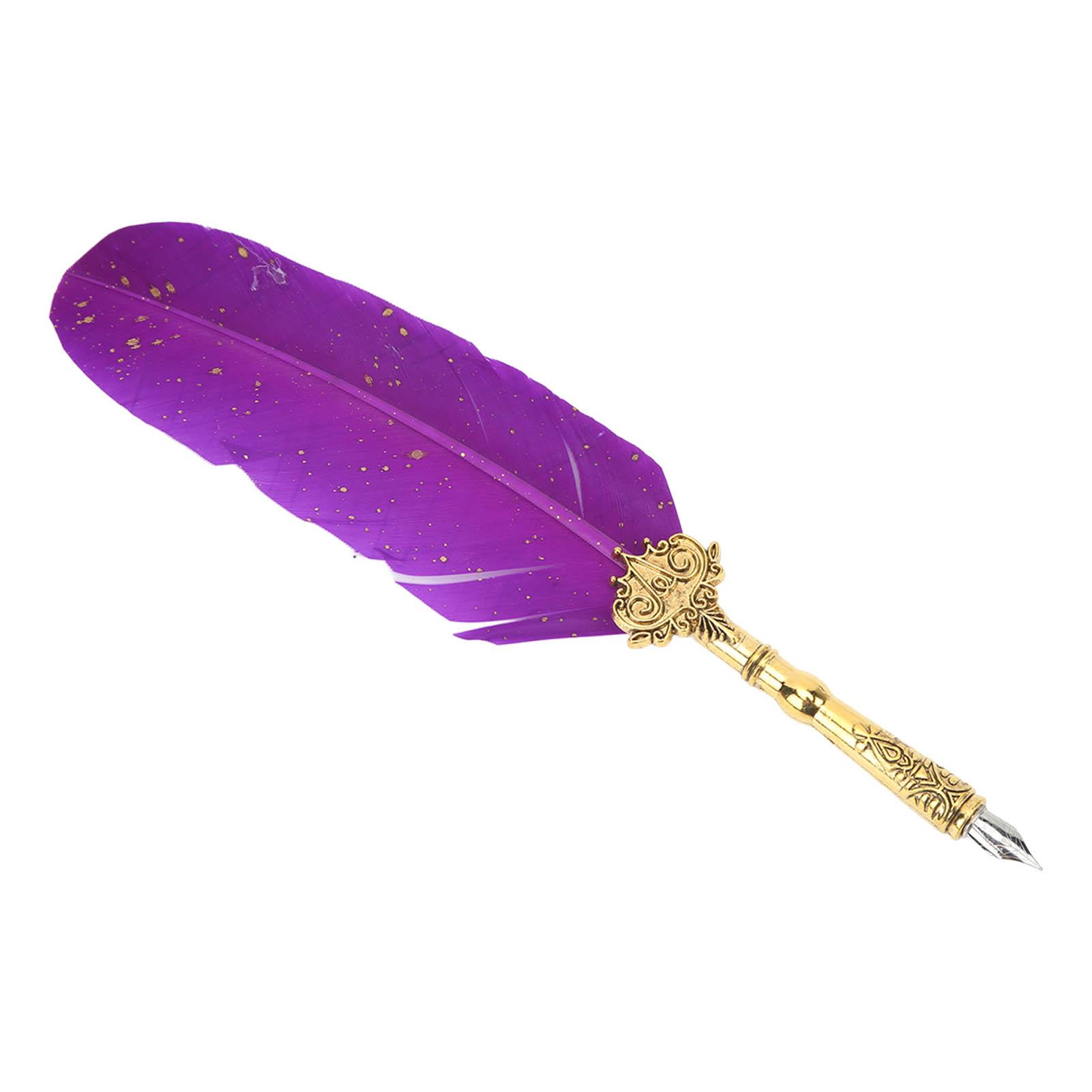 Retro Feather Pen Set Gift Packing Purple Clear Texture Stainless Steel Engraved Nib Pole Quill Ink Pen Set
Retro Feather Pen Set Gift Packing Purple Clear Texture Stainless Steel Engraved Nib Pole Quill Ink Pen Set