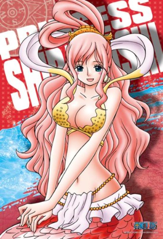 Пазл «One Piece» с изображением принцессы Ширахоши, 300 деталей (300-580)
Пазл «One Piece» с изображением принцессы Ширахоши, 300 деталей (300-580)