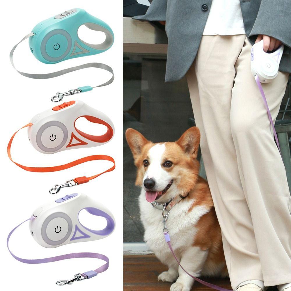 Товары для домашних животных Автоматический светодиодный поводок для собак Поводки для выгула домашних животных Удлинитель Нейлоновый поводок Тяговый трос
Товары для домашних животных Автоматический светодиодный поводок для собак Поводки для выгула домашних животных Удлинитель Нейлоновый поводок Тяговый трос