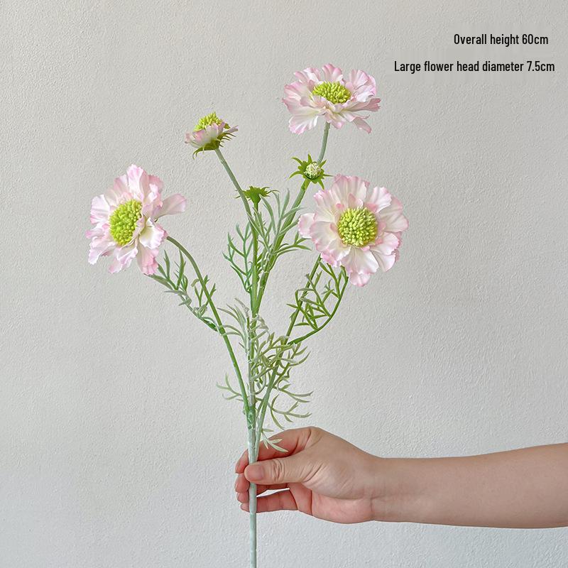 Хризантема на одном стебле с 5 флокированными головками с зеленым центром для самостоятельного составления цветочных композиций
Хризантема на одном стебле с 5 флокированными головками с зеленым центром для самостоятельного составления цветочных композиций