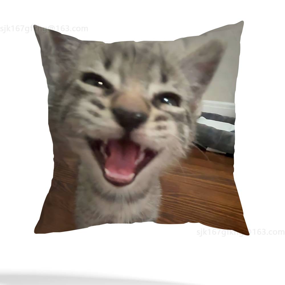Funny Cat Meme Pillow Case Square Double-Sided Printing Short Plush Sofa Cushion Cover Bedroom Bedside Pillow 12x12Inch
Funny Cat Meme Pillow Case Square Double-Sided Printing Short Plush Sofa Cushion Cover Bedroom Bedside Pillow 12x12Inch