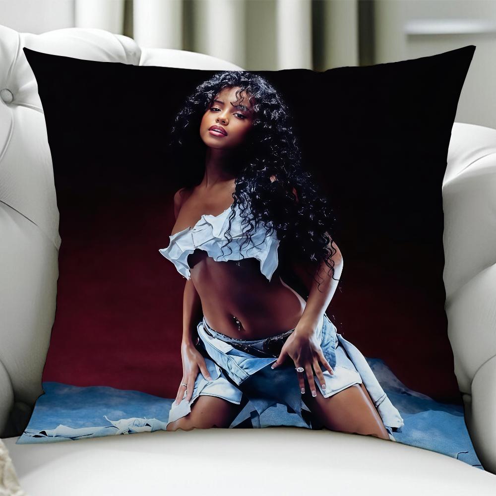 Pop Singer TTyla cushion cover Birthday Anniversary Gifts Double Sided Printed Zipper Cushion Cover Soft Skin Bedding 30x30cm
Pop Singer TTyla cushion cover Birthday Anniversary Gifts Double Sided Printed Zipper Cushion Cover Soft Skin Bedding 30x30cm