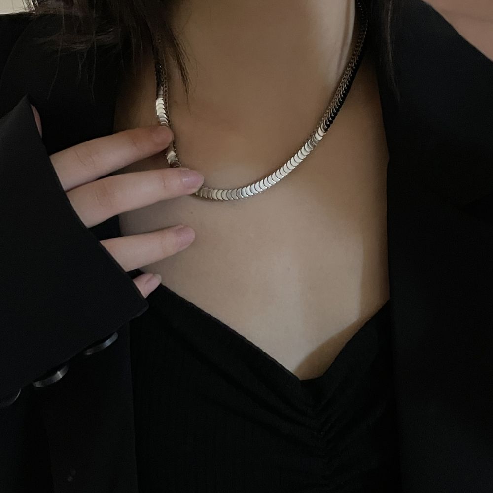 Metal Clavicle Chain Snake Chain Chokers Fashion Jewelry Korean Style Necklace Female Necklace
Metal Clavicle Chain Snake Chain Chokers Fashion Jewelry Korean Style Necklace Female Necklace
