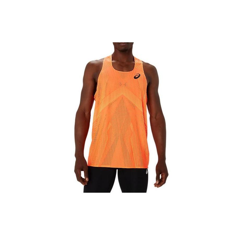 Мужская майка без рукавов Asics Actibreeze Singlet с логотипом, оранжевая 2091A682-601
Мужская майка без рукавов Asics Actibreeze Singlet с логотипом, оранжевая 2091A682-601