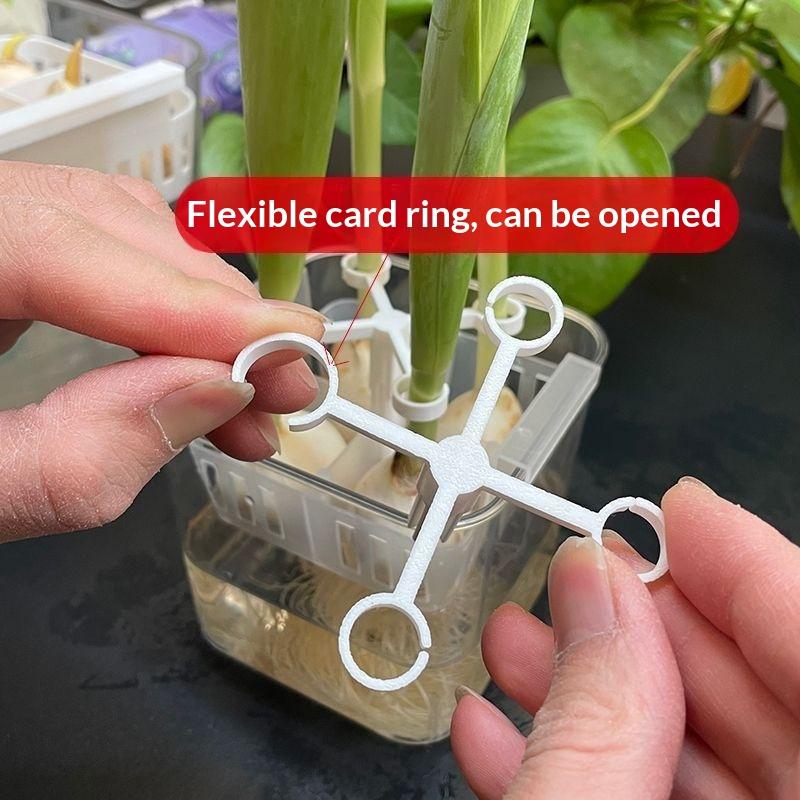 5Pcs 4-Hole Hydroponic Tulips Anti-Tip Stand Anti-Fall Keep Upright Plant Fixer Bracket Plastic Stabilize Plant Fixer Bracket 5PCS
5Pcs 4-Hole Hydroponic Tulips Anti-Tip Stand Anti-Fall Keep Upright Plant Fixer Bracket Plastic Stabilize Plant Fixer Bracket 5PCS