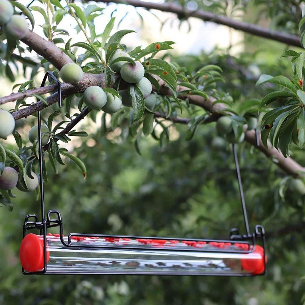 Drinking Outdoors Decorative Hummingbird Feeder Bird Supplies Humming Bird Feeders Birds Feeding
Drinking Outdoors Decorative Hummingbird Feeder Bird Supplies Humming Bird Feeders Birds Feeding