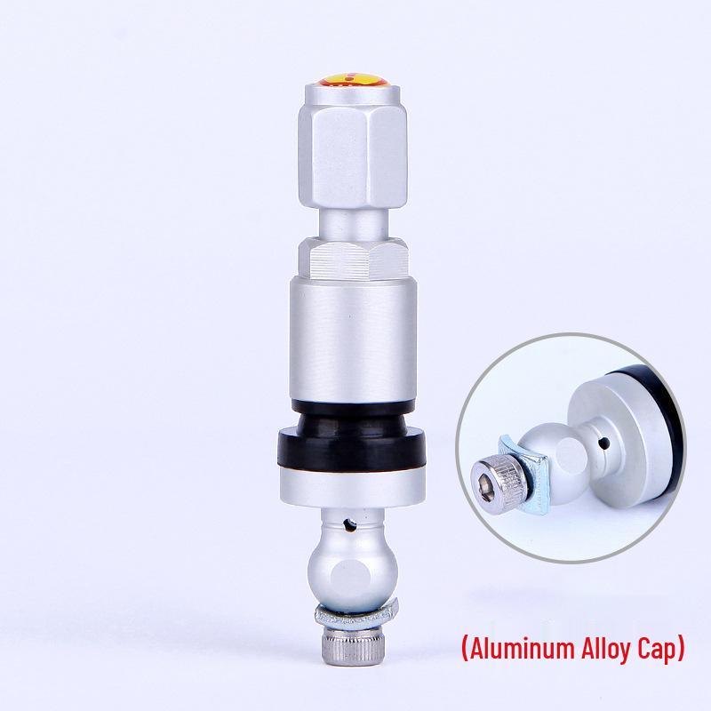 TPMS-14 Золотник для датчика давления в шинах BMW, Nissan, Mitsubishi
TPMS-14 Золотник для датчика давления в шинах BMW, Nissan, Mitsubishi