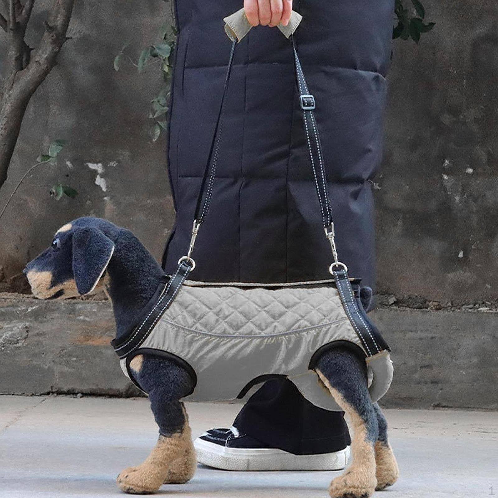 Регульована ременна підтримка собаки для допомоги в пересуванні M Gray
Регульована ременна підтримка собаки для допомоги в пересуванні M Gray