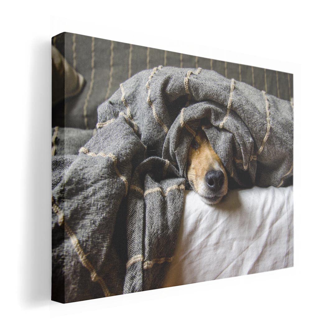 Art 420mm x Wall Wooden Stylish Interior Dog Animal Panel, Painting, Decoration, igsticker, 297mm, A3, Photo, Hanging, Frame, Decor, 023225, Photo,
Art 420mm x Wall Wooden Stylish Interior Dog Animal Panel, Painting, Decoration, igsticker, 297mm, A3, Photo, Hanging, Frame, Decor, 023225, Photo,