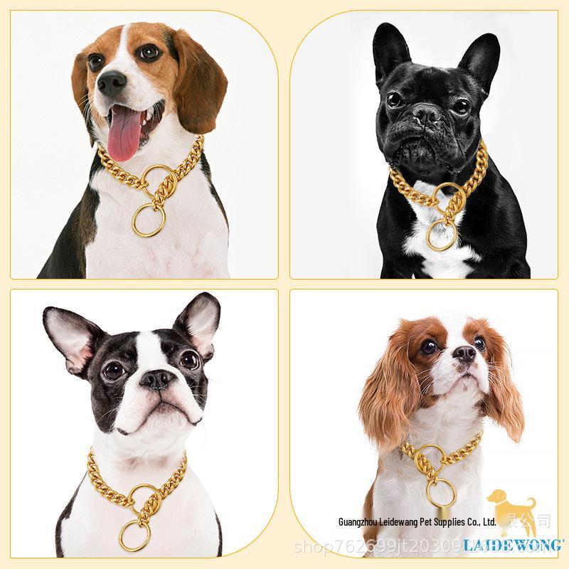 10mm Wide Stainless Steel Cuban Dog Collar P-Chain Leash - Bestseller 25 cm
10mm Wide Stainless Steel Cuban Dog Collar P-Chain Leash - Bestseller 25 cm