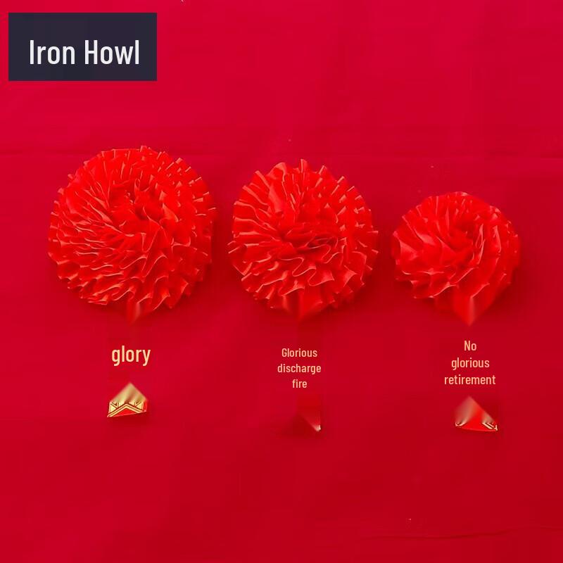 Veteran s Retirement Glory Brooch
Veteran s Retirement Glory Brooch