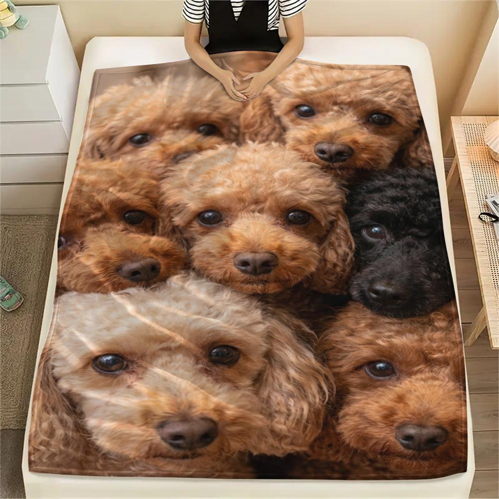 1Pc Charlie Print Flannel Blanket, High quality Comfortable for All Seasons, Home Decor, Warmth and Comfort, Perfect for Christmas Gifts W93 80cm x 120cm
1Pc Charlie Print Flannel Blanket, High quality Comfortable for All Seasons, Home Decor, Warmth and Comfort, Perfect for Christmas Gifts W93 80cm x 120cm