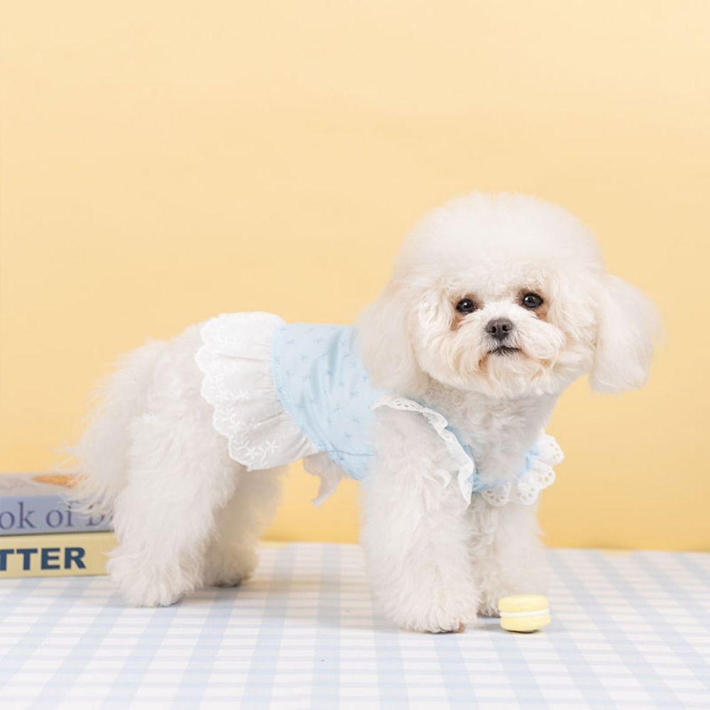 Breathable Lace Cat Skirt Exquisite Dog Princess Dress Simple Bow Print Dog Dress Pet Clothes XXL синій
Breathable Lace Cat Skirt Exquisite Dog Princess Dress Simple Bow Print Dog Dress Pet Clothes XXL синій