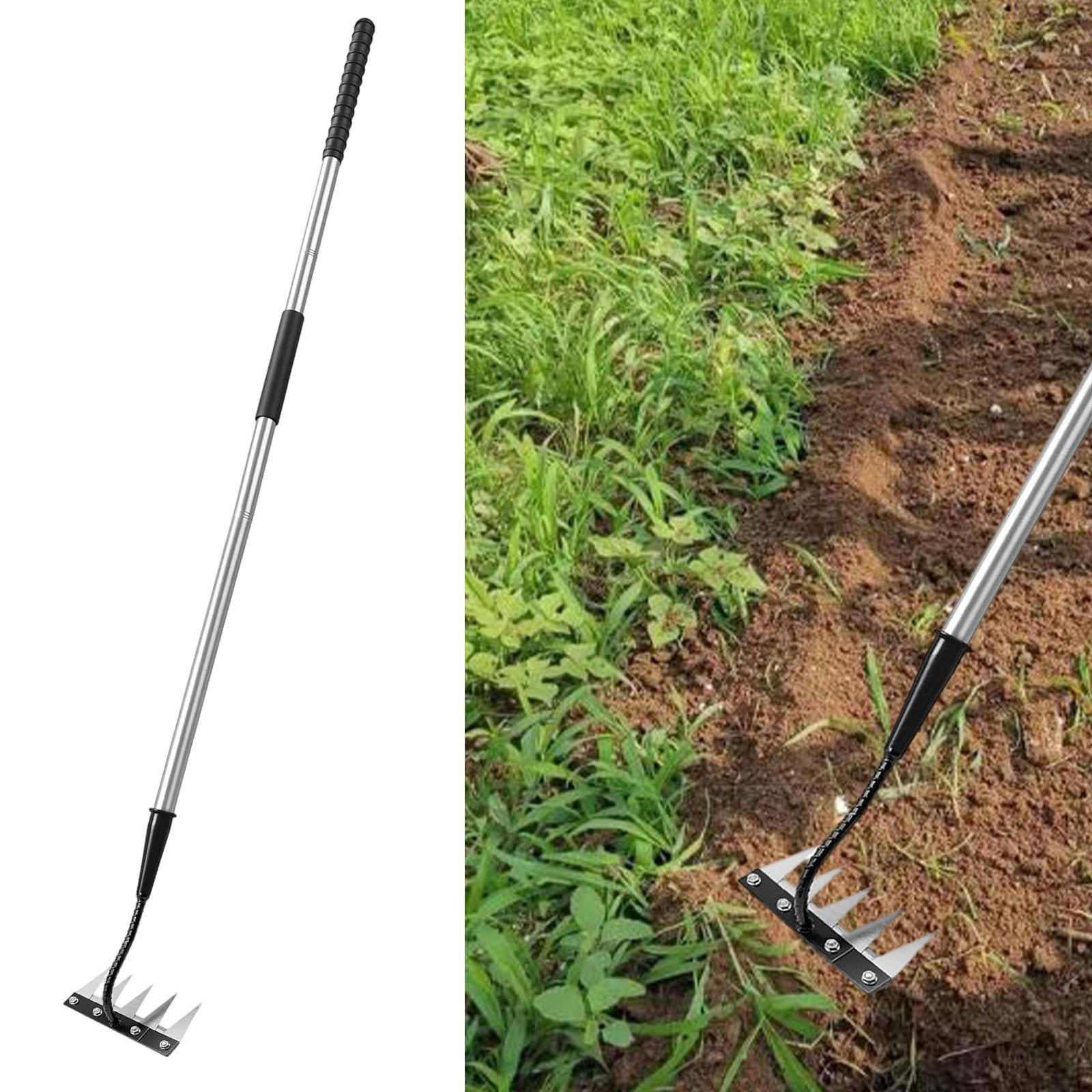Garden Rake Agricultural Cultivator Long Handle Gardening Tool for Soil Turning Planting 5 Tines
Garden Rake Agricultural Cultivator Long Handle Gardening Tool for Soil Turning Planting 5 Tines