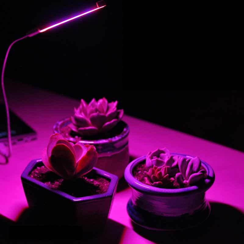 14 светодиодов полного спектра USB Plant Grow Light для выращивания овощей в помещении гидропонных растений
14 светодиодов полного спектра USB Plant Grow Light для выращивания овощей в помещении гидропонных растений