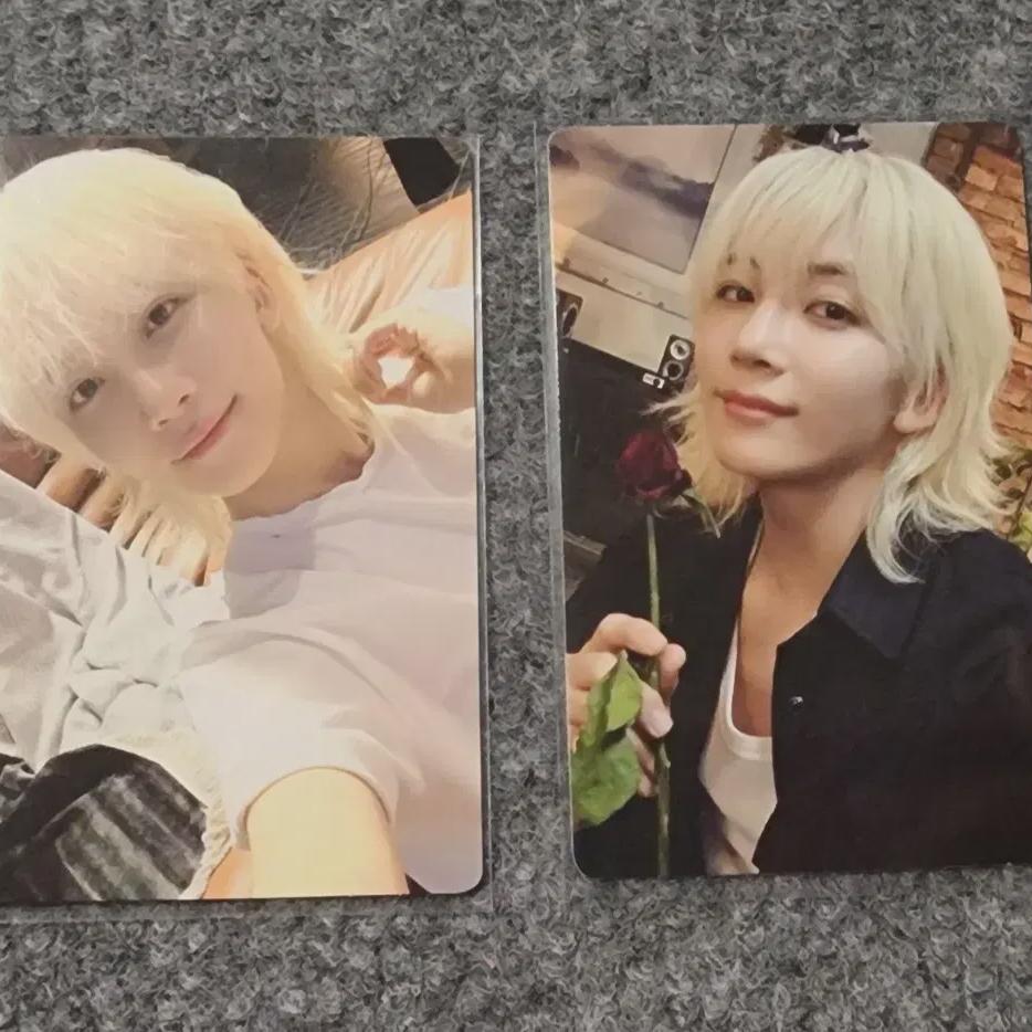 I Sell The Seventeen Mini 12 Book Kit Set
I Sell The Seventeen Mini 12 Book Kit Set