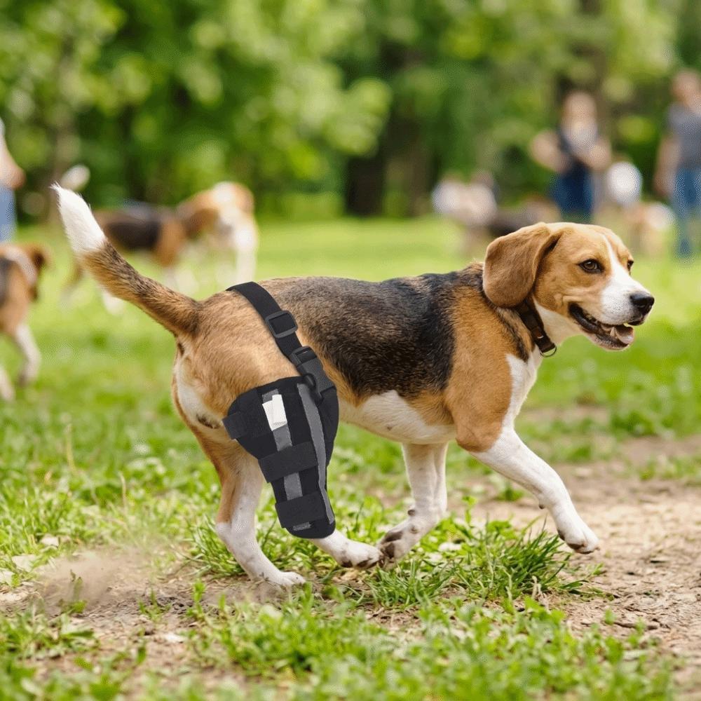 Adjustable Fit Dog Knee Support Hind Leg Support Dog Leg Wrap Pet Recovery Brace Hind Leg Injury XXS
Adjustable Fit Dog Knee Support Hind Leg Support Dog Leg Wrap Pet Recovery Brace Hind Leg Injury XXS