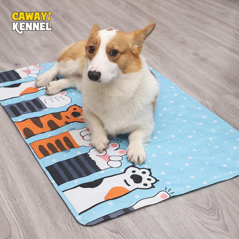 Охлаждающий коврик для собак CAWAYI KENNEL, летний коврик для собак, кошек, дышащее одеяло, подушечки для льда для кошек, моющиеся дышащие кровати для домашних собак
Охлаждающий коврик для собак CAWAYI KENNEL, летний коврик для собак, кошек, дышащее одеяло, подушечки для льда для кошек, моющиеся дышащие кровати для домашних собак