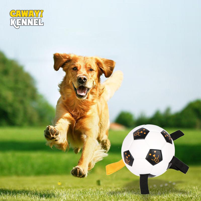 Cawayi Kennel, высокая гибкость, сферическая игрушка для собак, обучение на открытом воздухе, интерактивная веревка, футбольные игрушки для собак, мячи для кусачек D2304
Cawayi Kennel, высокая гибкость, сферическая игрушка для собак, обучение на открытом воздухе, интерактивная веревка, футбольные игрушки для собак, мячи для кусачек D2304
