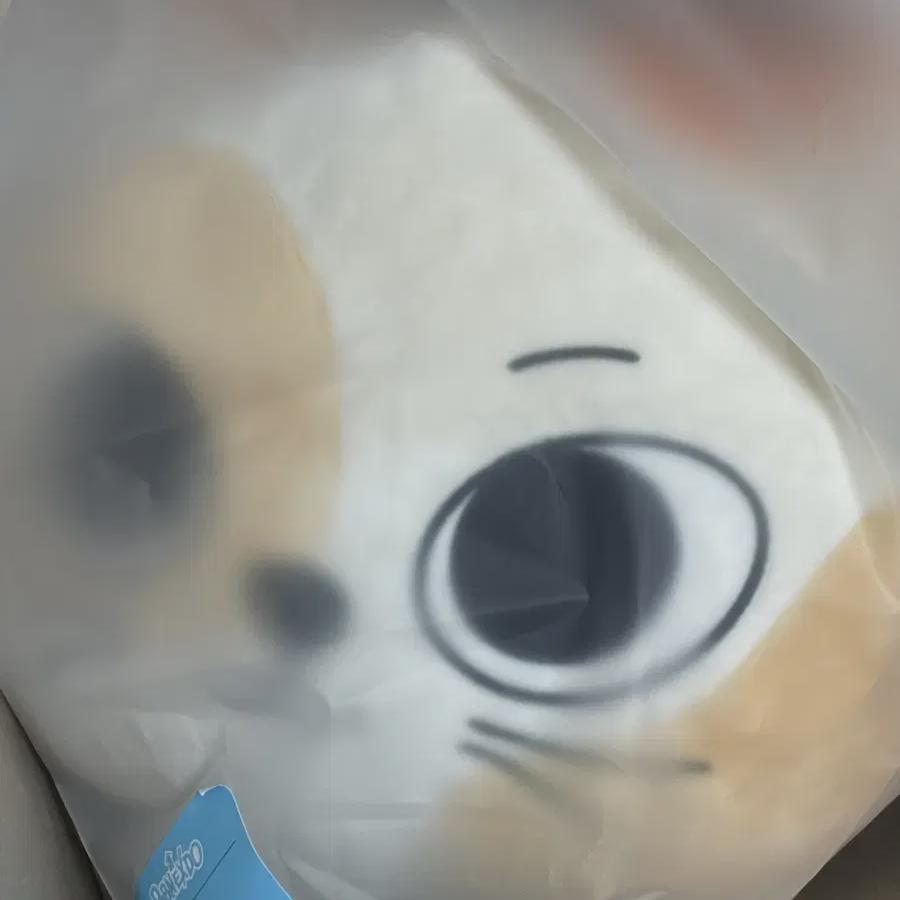 BOYNEXTDOOR Санхо Подушка-подушка для кота Pnekdo Временный магазин Брелок Кукла
BOYNEXTDOOR Санхо Подушка-подушка для кота Pnekdo Временный магазин Брелок Кукла