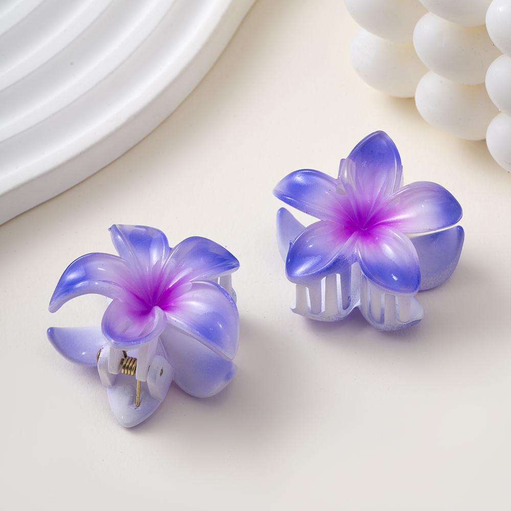 2 шт. заколка для волос в виде цветка плюмерии, маленькая заколка для волос, женская заколка-краб для волос, корейские зажимы для волос, аксессуары для волос, дропшиппинг
2 шт. заколка для волос в виде цветка плюмерии, маленькая заколка для волос, женская заколка-краб для волос, корейские зажимы для волос, аксессуары для волос, дропшиппинг