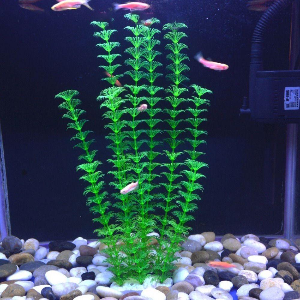 for Aquarium Decorations Beautiful Green Underwater Plants Seaweed Water Grass Artificial Plants
for Aquarium Decorations Beautiful Green Underwater Plants Seaweed Water Grass Artificial Plants