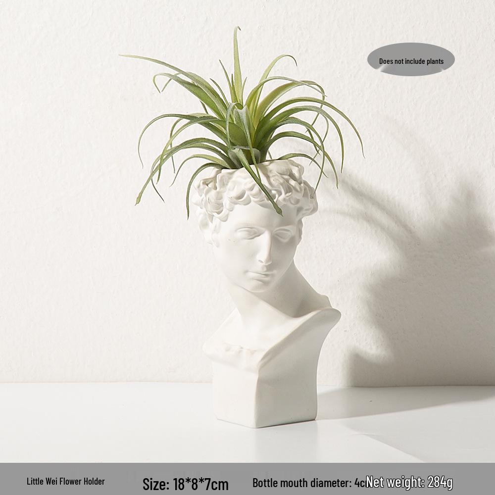 Minimalist Plaster Head Statue Vase for Home Decor
Minimalist Plaster Head Statue Vase for Home Decor