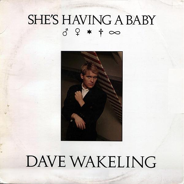 12-дюймовая пластинка DAVE WAKELING Shes Having A Baby IRS23847 I.R.S. Записи 1988 года США Танцевальная Электроника Б/у
12-дюймовая пластинка DAVE WAKELING Shes Having A Baby IRS23847 I.R.S. Записи 1988 года США Танцевальная Электроника Б/у