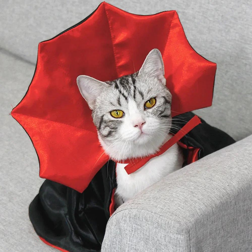 Cat Halloween Costume Pet Cloak Red Black Kitten Cape Pet Puppy Apparel Halloween Party Costume for Small Dogs Cats Accessories one size красный
Cat Halloween Costume Pet Cloak Red Black Kitten Cape Pet Puppy Apparel Halloween Party Costume for Small Dogs Cats Accessories one size красный