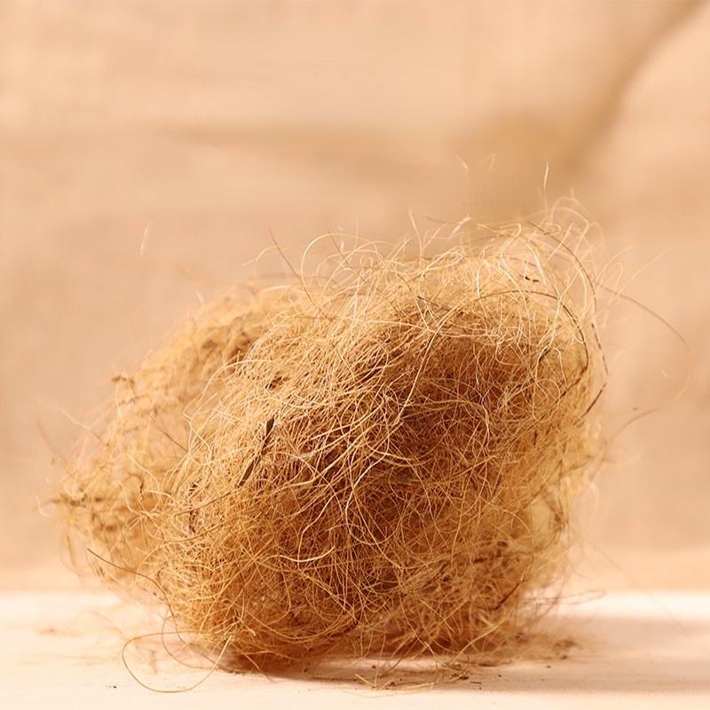 100g Finch Coconut Fiber Loose Bedding Substrate for Birds Nest Cages Nesting Material for Budgie Hummingbird Canary Parakeet
100g Finch Coconut Fiber Loose Bedding Substrate for Birds Nest Cages Nesting Material for Budgie Hummingbird Canary Parakeet