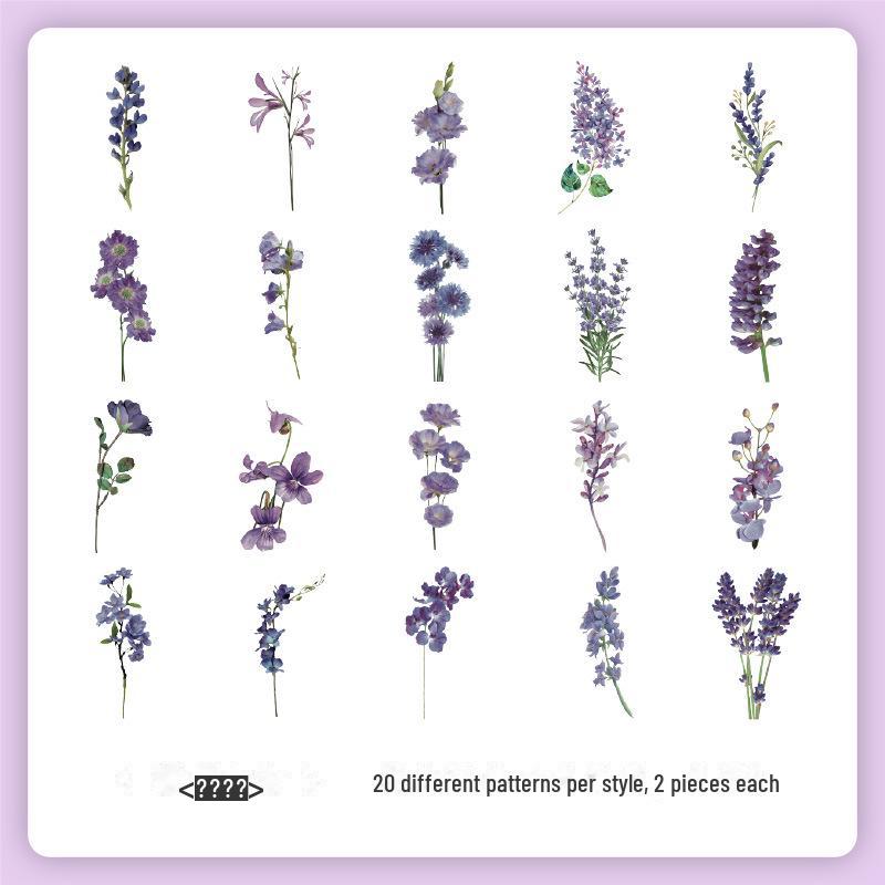 Набор наклеек «Ретро Природа Юэчжэнь»: Цветы и бабочки для детских справочников
Набор наклеек «Ретро Природа Юэчжэнь»: Цветы и бабочки для детских справочников