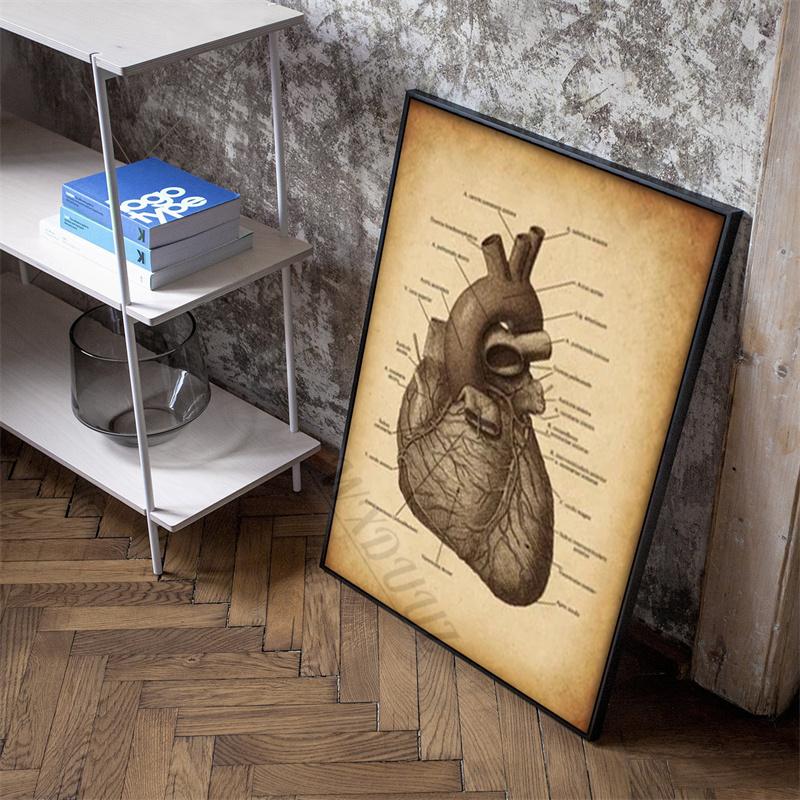 Плакаты с анатомией человеческого сердца для больничной комнаты, гостиной, 80 s, Ретро холст, картина, принт, домашний декор, фотографии, подарок 30x40cm No Frame
Плакаты с анатомией человеческого сердца для больничной комнаты, гостиной, 80 s, Ретро холст, картина, принт, домашний декор, фотографии, подарок 30x40cm No Frame