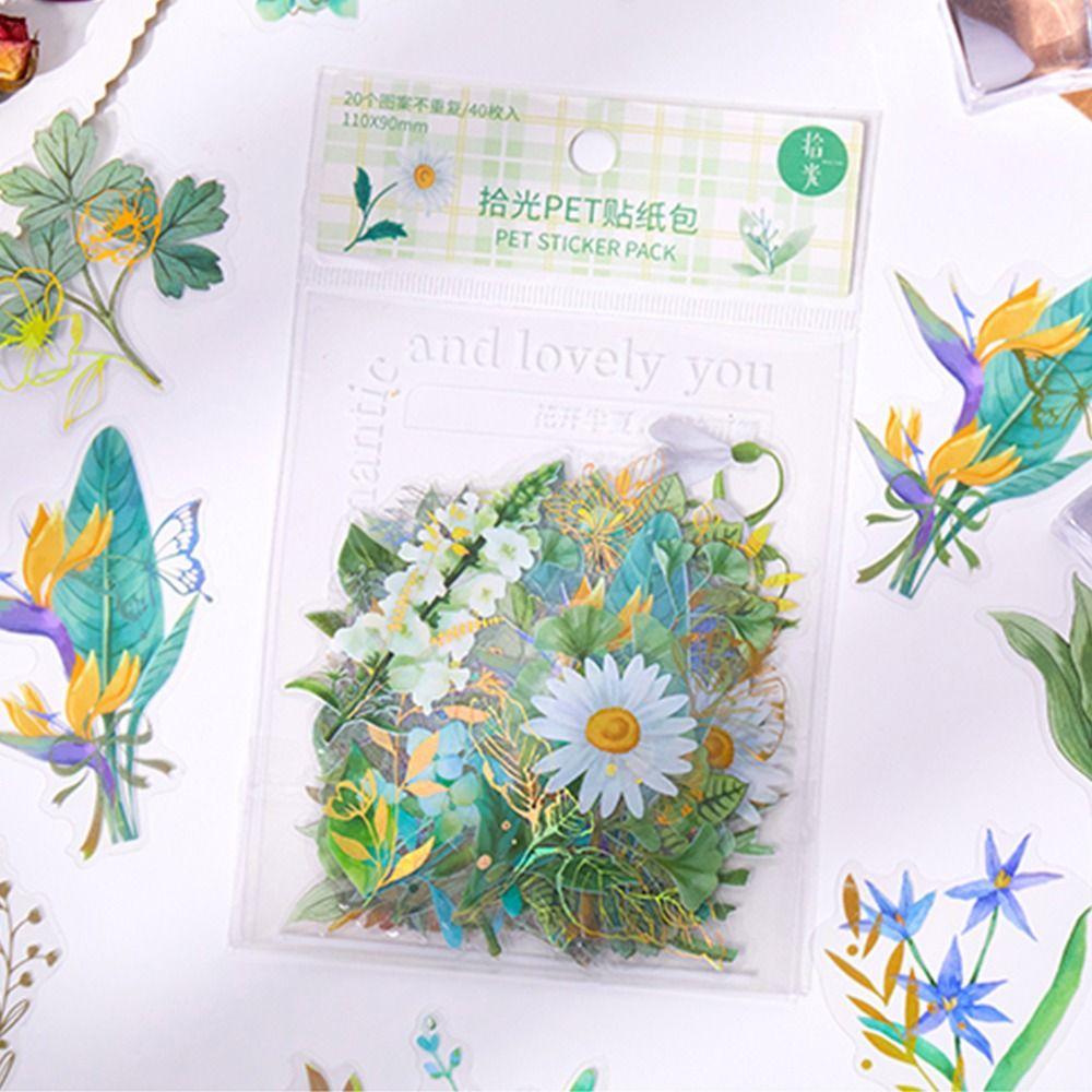 DIY ремесла Decora завод цветок ПЭТ наклейка клей дневник наклейки журнал декоративные наклейки
DIY ремесла Decora завод цветок ПЭТ наклейка клей дневник наклейки журнал декоративные наклейки