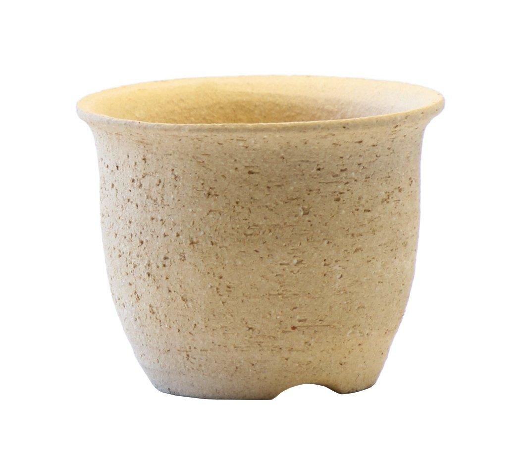 Горшок для орхидей Тори 2,5 дюйма F26-16C белый
Горшок для орхидей Тори 2,5 дюйма F26-16C белый