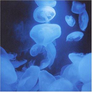 CD HIMEKAMI - Millennium Corridor POCA01488 Pony Canyon 2000 Japan New Age & Easy Listening Used
CD HIMEKAMI - Millennium Corridor POCA01488 Pony Canyon 2000 Japan New Age & Easy Listening Used
