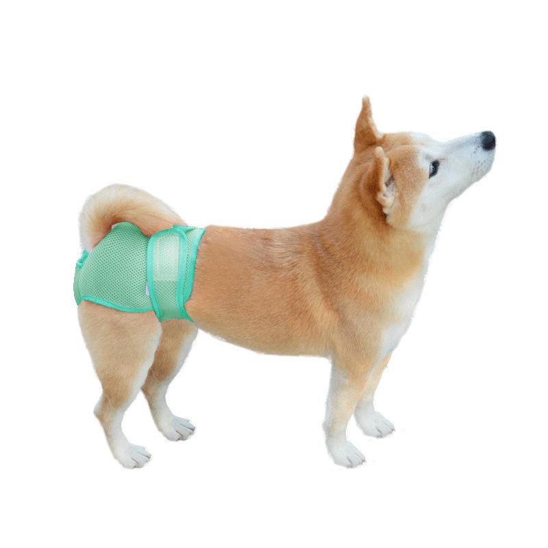 Breathable mesh hole pet physiological pants, Velcro female dog panties, adjustable waistline dog polite belt hot sale S изумрудный
Breathable mesh hole pet physiological pants, Velcro female dog panties, adjustable waistline dog polite belt hot sale S изумрудный