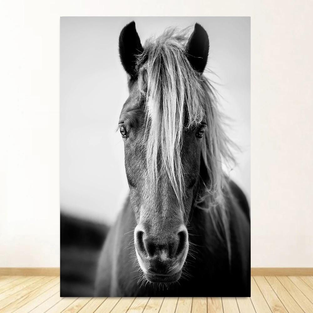 Черно-белый портрет лошади, постер, печать на холсте, картина с изображением бегущих лошадей, настенное искусство, картина для декора комнаты в фермерском доме 20x30cm
Черно-белый портрет лошади, постер, печать на холсте, картина с изображением бегущих лошадей, настенное искусство, картина для декора комнаты в фермерском доме 20x30cm
