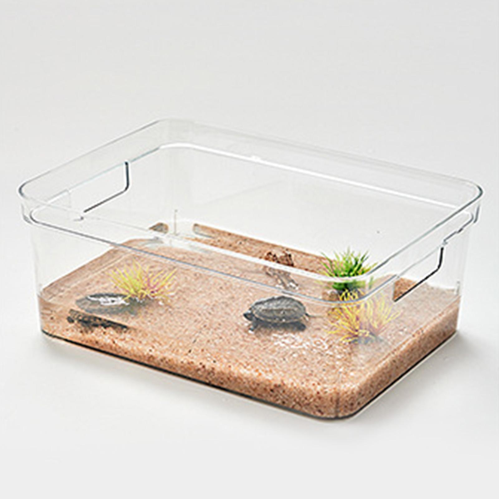 Fish Sturdy Easy to Clean Desktop Clear Aquarium Decoration for Household Living Room
Fish Sturdy Easy to Clean Desktop Clear Aquarium Decoration for Household Living Room